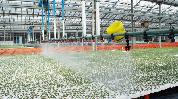 ozono irrigazione ecofarm_3