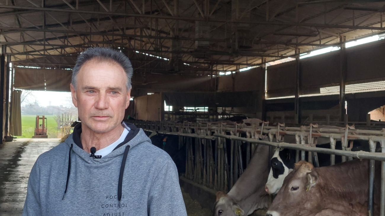giberti parmigiano reggiano raffrescamento