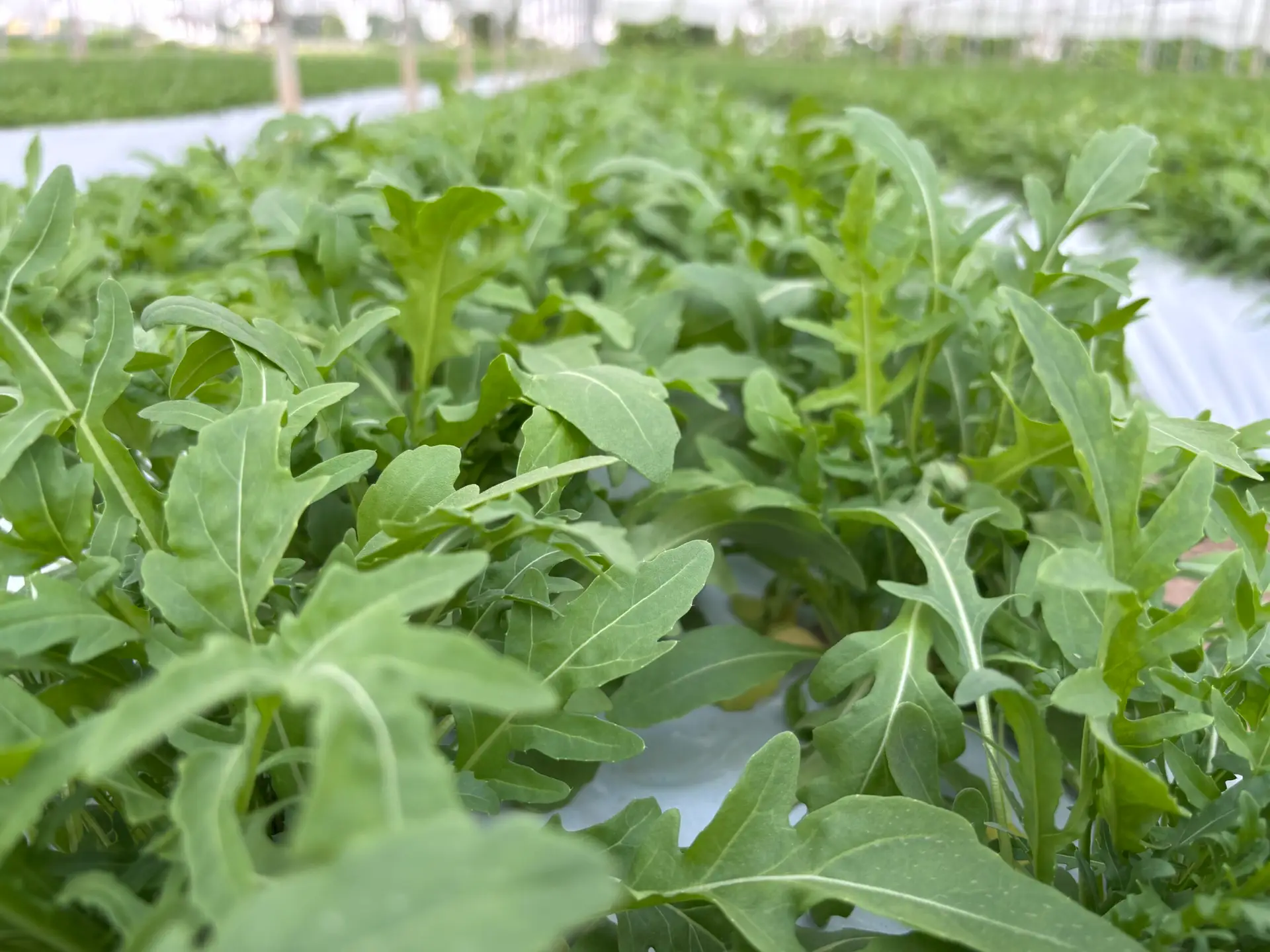 20250526_160702351_iOS