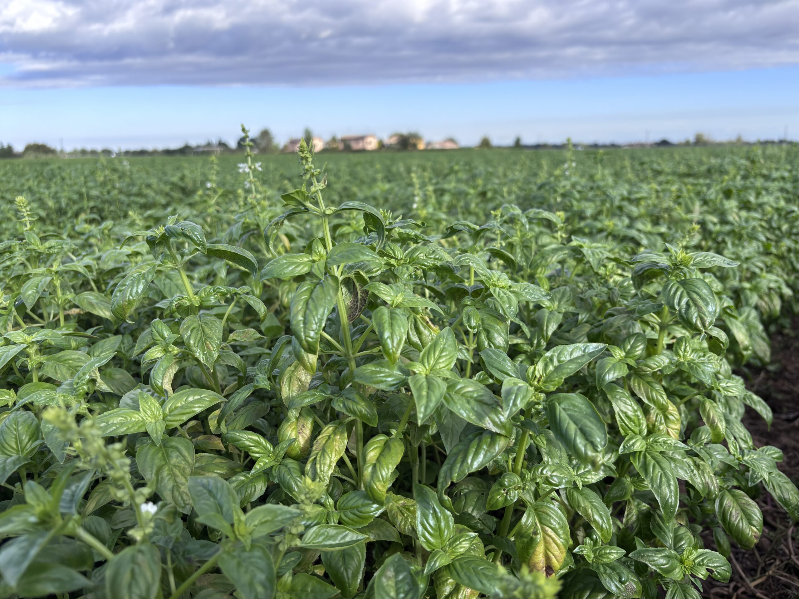 20250925_073312034_iOS