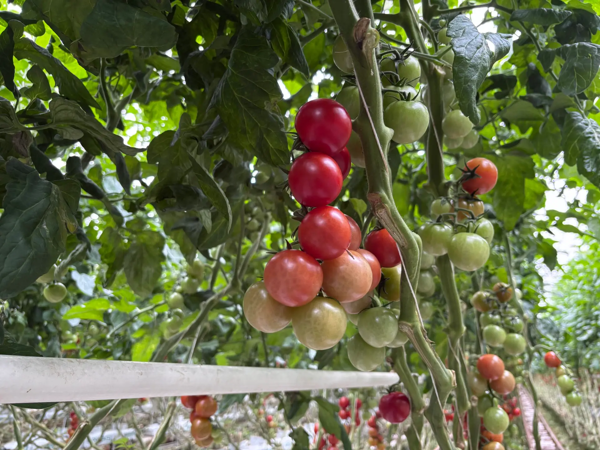 20251015_081907647_iOS