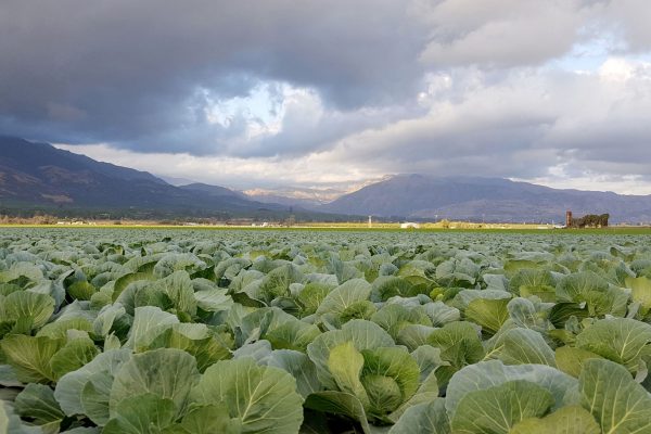 paesaggio