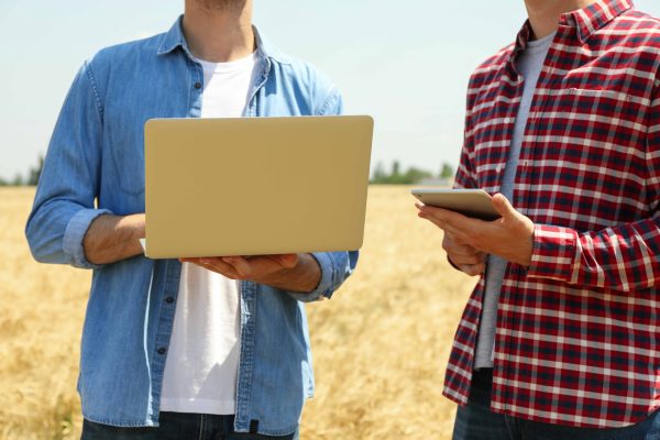 Young men with laptop in barley field. Agriculture business. Farming